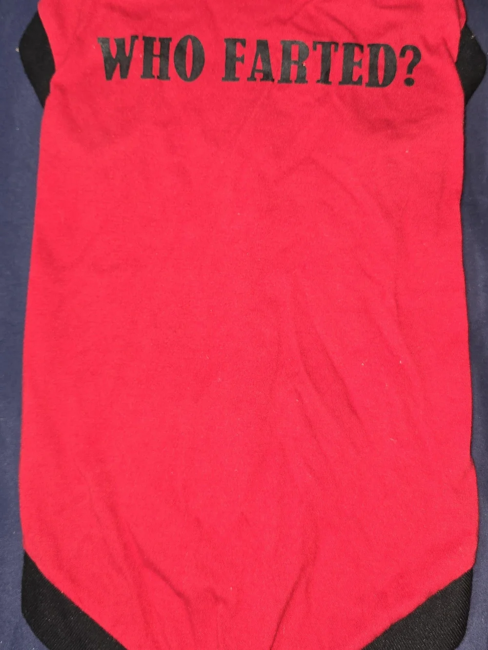 Medium Dog Shirts Lot